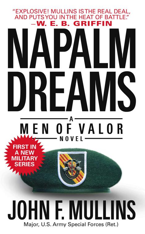 Napalm Dreams, The Men of Valor Novels