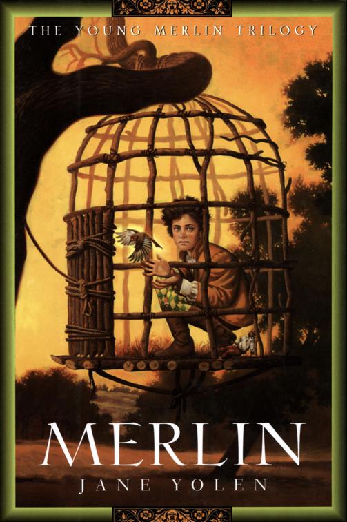 Merlin, The Young Merlin Trilogy