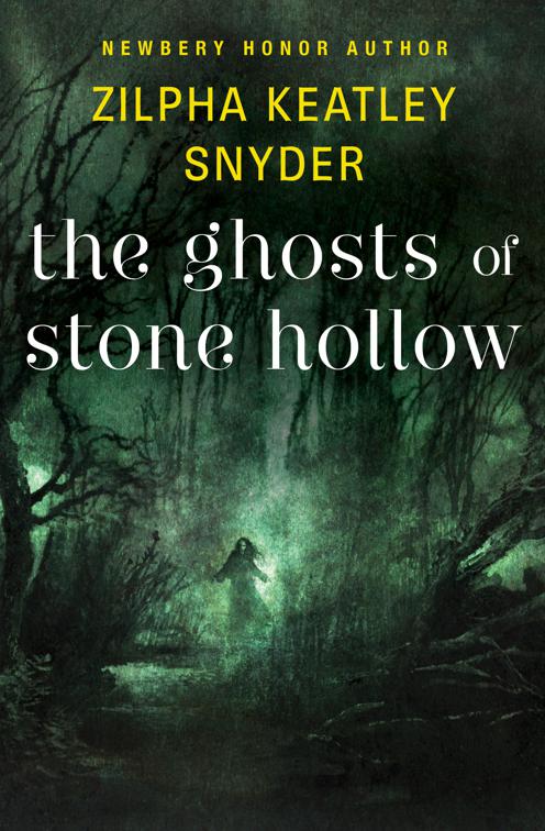 Ghosts of Stone Hollow