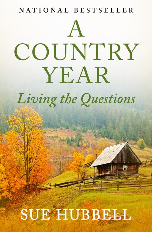 Country Year