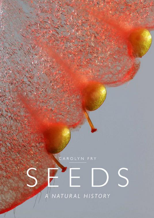 Seeds