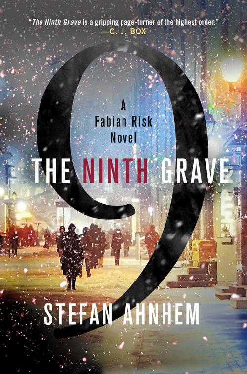 Ninth Grave, Fabian Risk Series