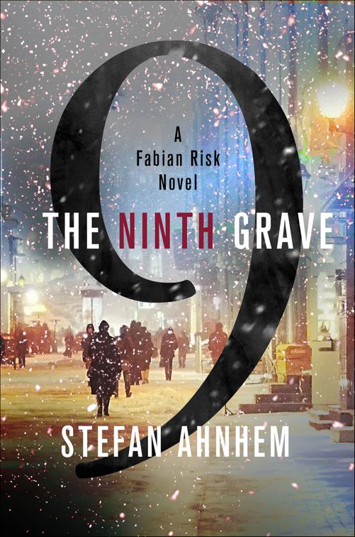 Ninth Grave, Fabian Risk Series