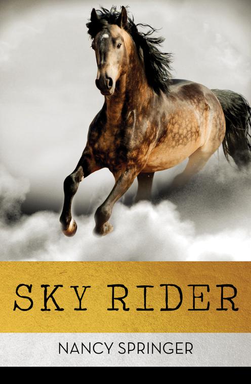 Sky Rider