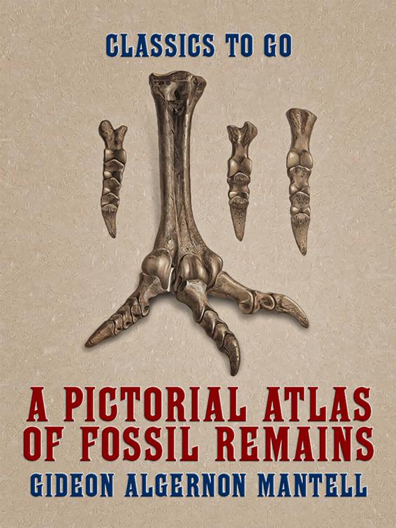 A Pictorial Atlas of Fossil Remains, Classics To Go