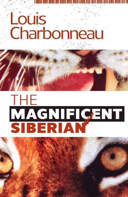 The Magnificent Siberian