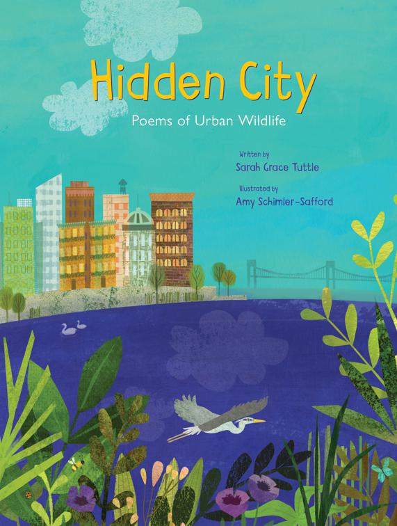 Hidden City, Spectacular STEAM for Curious Readers (SSCR)