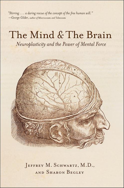 Mind &amp; The Brain