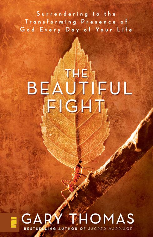 Beautiful Fight