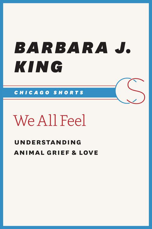 We All Feel, Chicago Shorts