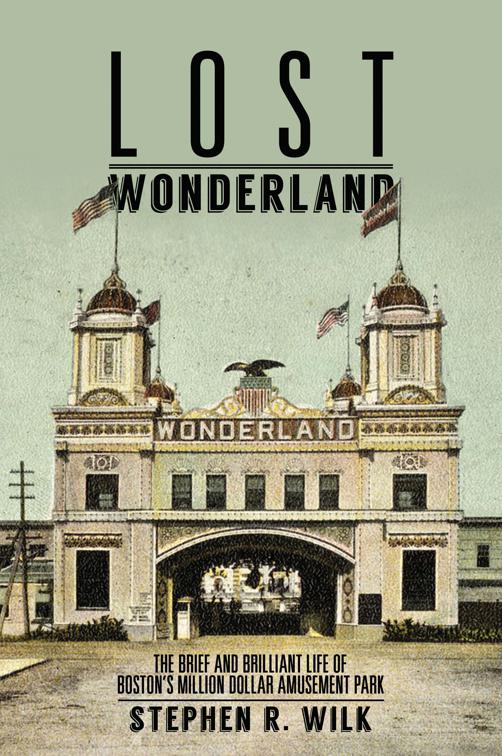 This image is the cover for the book Lost Wonderland