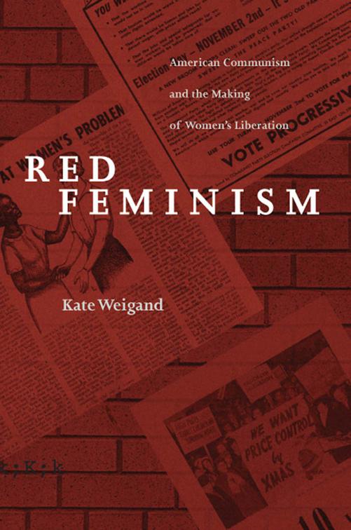 Red Feminism, Reconfiguring American Political History
