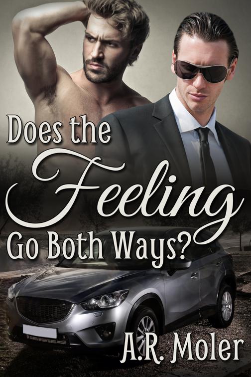 This image is the cover for the book Does the Feeling Go Both Ways?