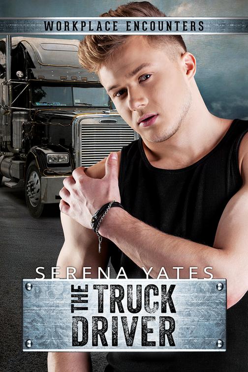 This image is the cover for the book The Truck Driver, Workplace Encounters