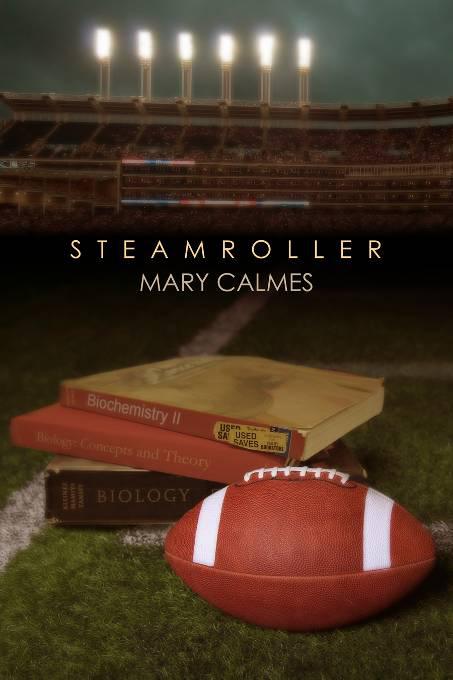 This image is the cover for the book Steamroller