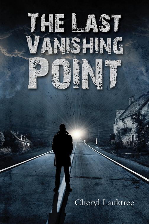 This image is the cover for the book The Last Vanishing Point