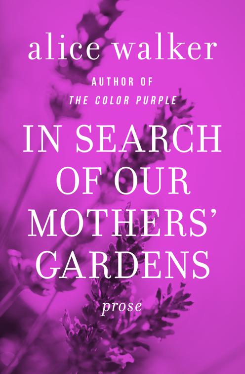 In Search of Our Mothers&#x27; Gardens