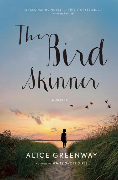 Bird Skinner