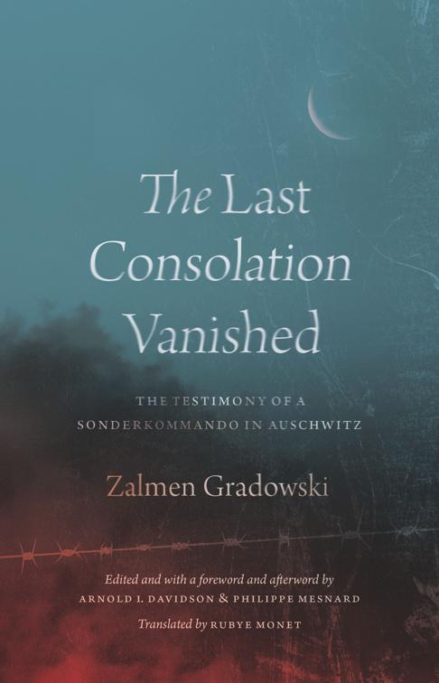 Last Consolation Vanished
