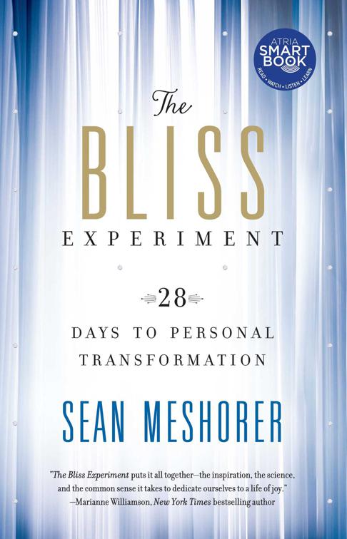 Bliss Experiment