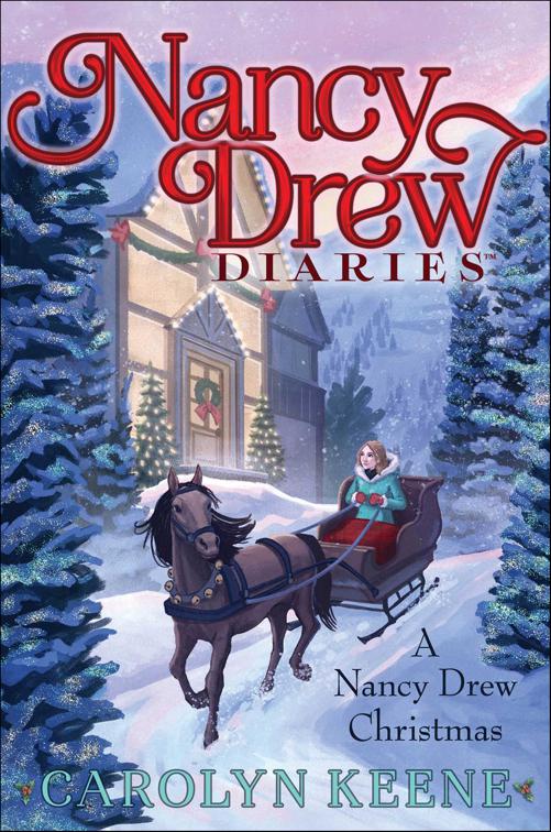 Nancy Drew Christmas, Nancy Drew Diaries