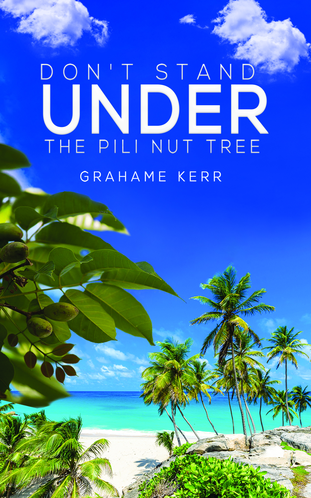 This image is the cover for the book Don't Stand Under the Pili Nut Tree