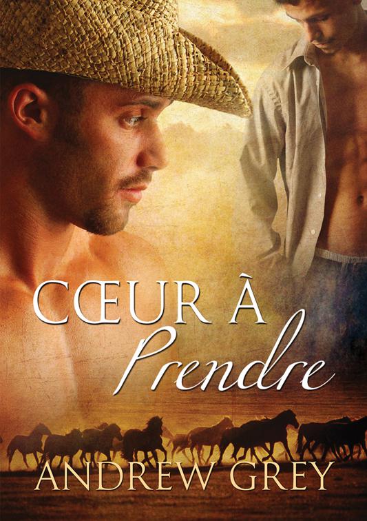 Cœur à prendre, Histoires de cœur