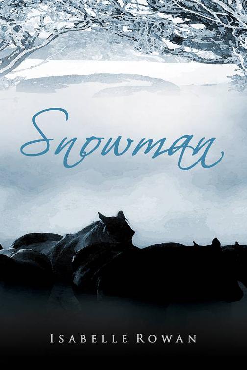 This image is the cover for the book Snowman