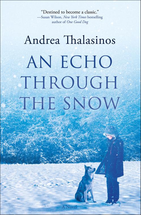 Echo Through the Snow