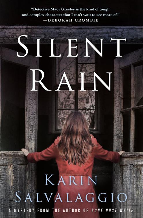 Silent Rain, Macy Greeley Mysteries