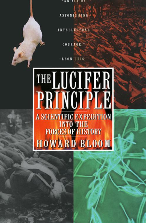 Lucifer Principle