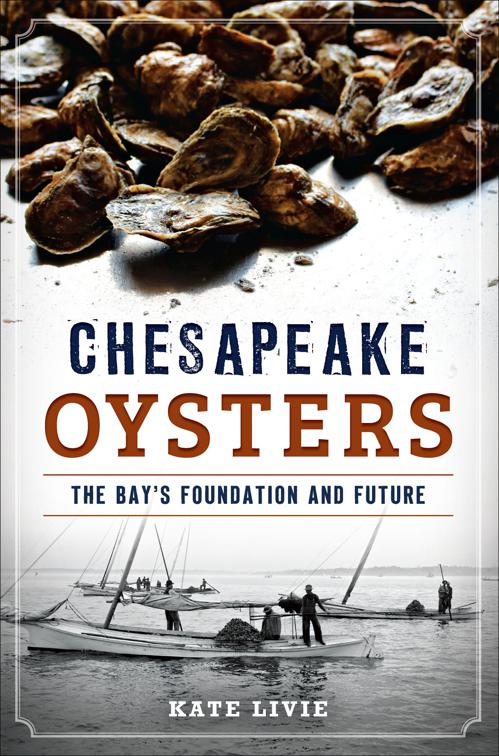 Chesapeake Oysters, American Palate