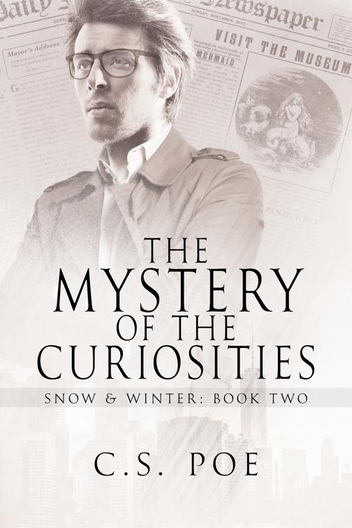 This image is the cover for the book The Mystery of the Curiosities, Snow & Winter