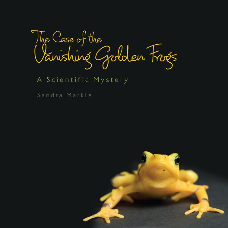 Case of Vanishing Golden Frogs, Sandra Markle&#x27;s Science Discoveries