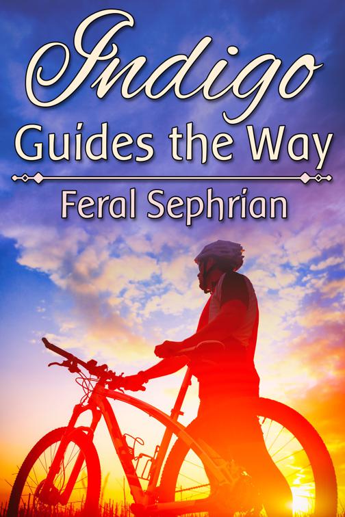 Indigo Guides the Way