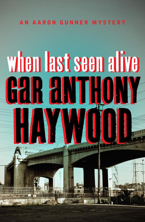 When Last Seen Alive, The Aaron Gunner Mysteries