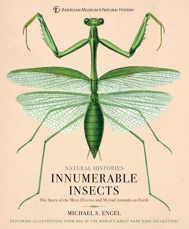 Innumerable Insects, Natural Histories