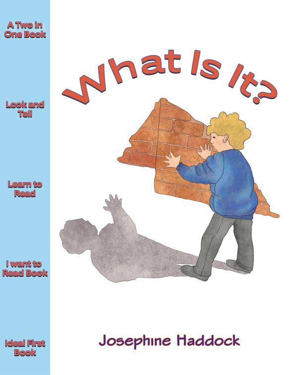 What Is It?