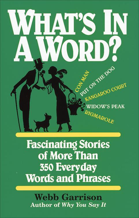 What&#x27;s in a Word?