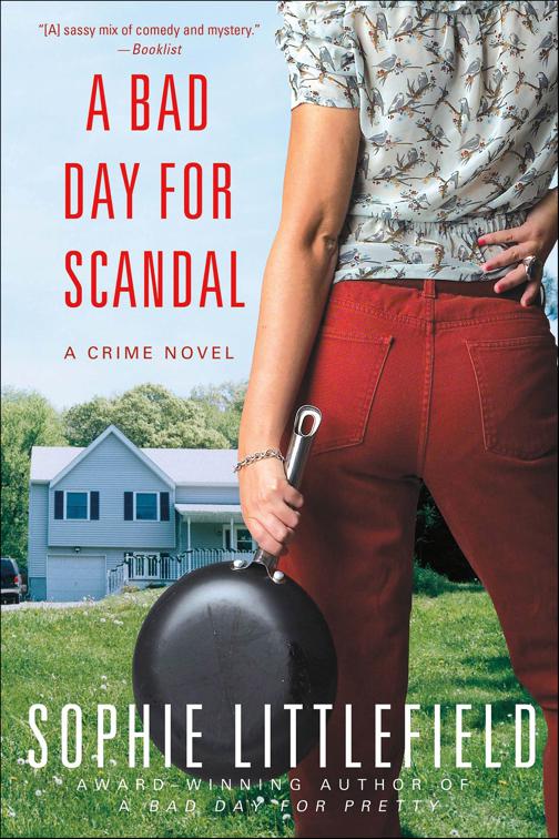Bad Day for Scandal, Stella Hardesty Crime Series