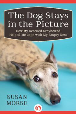 Dog Stays in the Picture