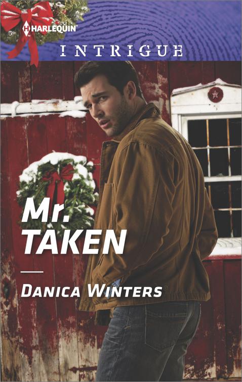 Mr. Taken, Mystery Christmas