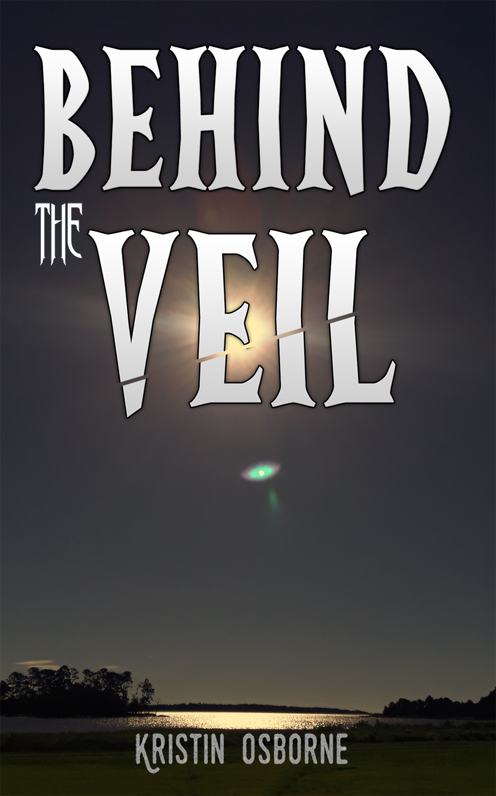 This image is the cover for the book Behind the Veil