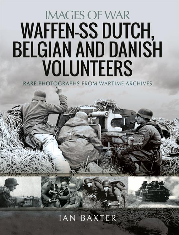 Waffen-SS Dutch, Belgian, and Danish Volunteers, Images of War