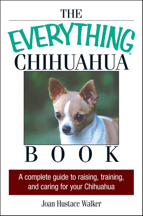 Everything Chihuahua Book, The Everything Books