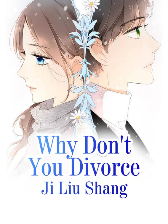 Why Don&#x27;t You Divorce, Volume 1