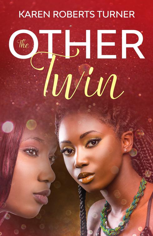 This image is the cover for the book The Other Twin