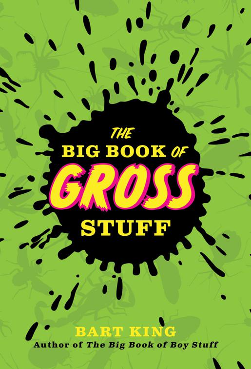 Big Book of Gross Stuff