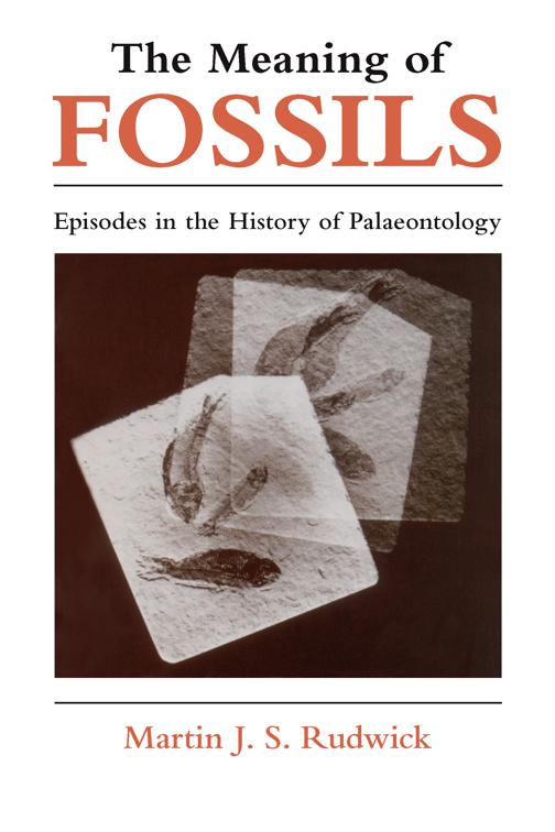 Meaning of Fossils