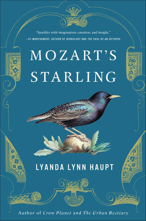 Mozart&#x27;s Starling